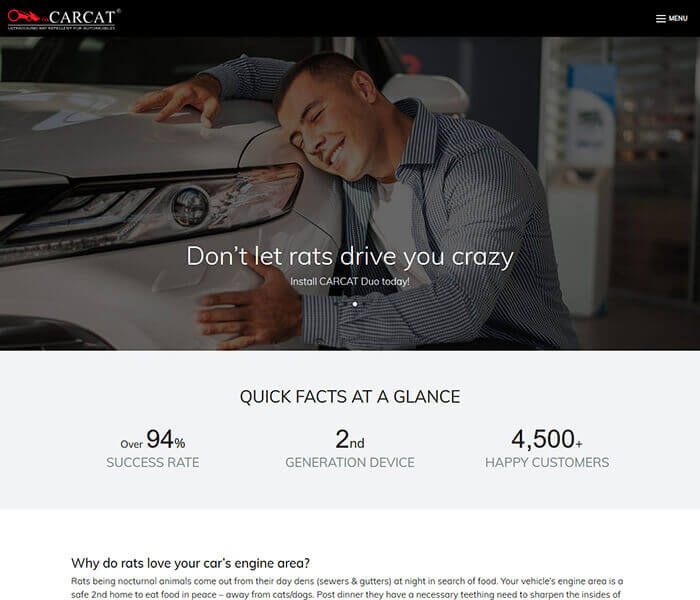Carcat Web design and development, CMS application and social media
